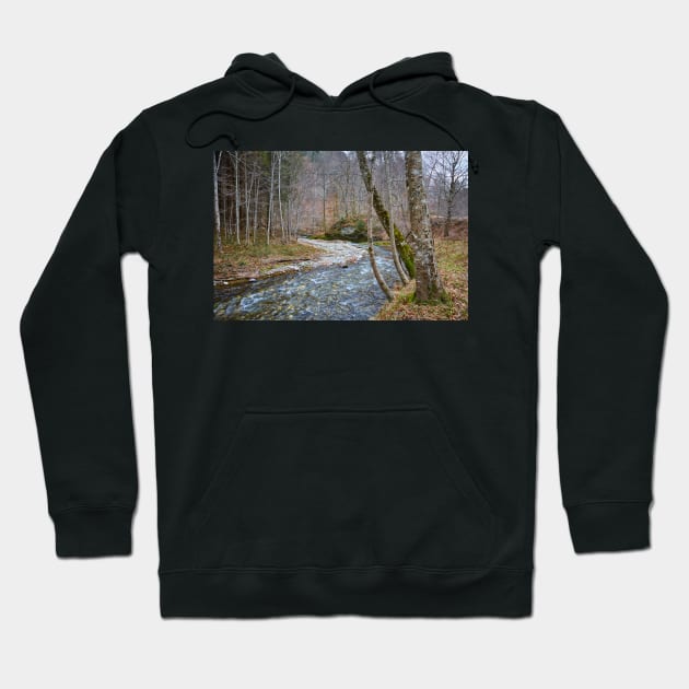 River flowing through mountain Hoodie by naturalis